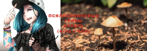 PSILOCYBIN Карталы