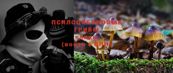 бошки Кинешма